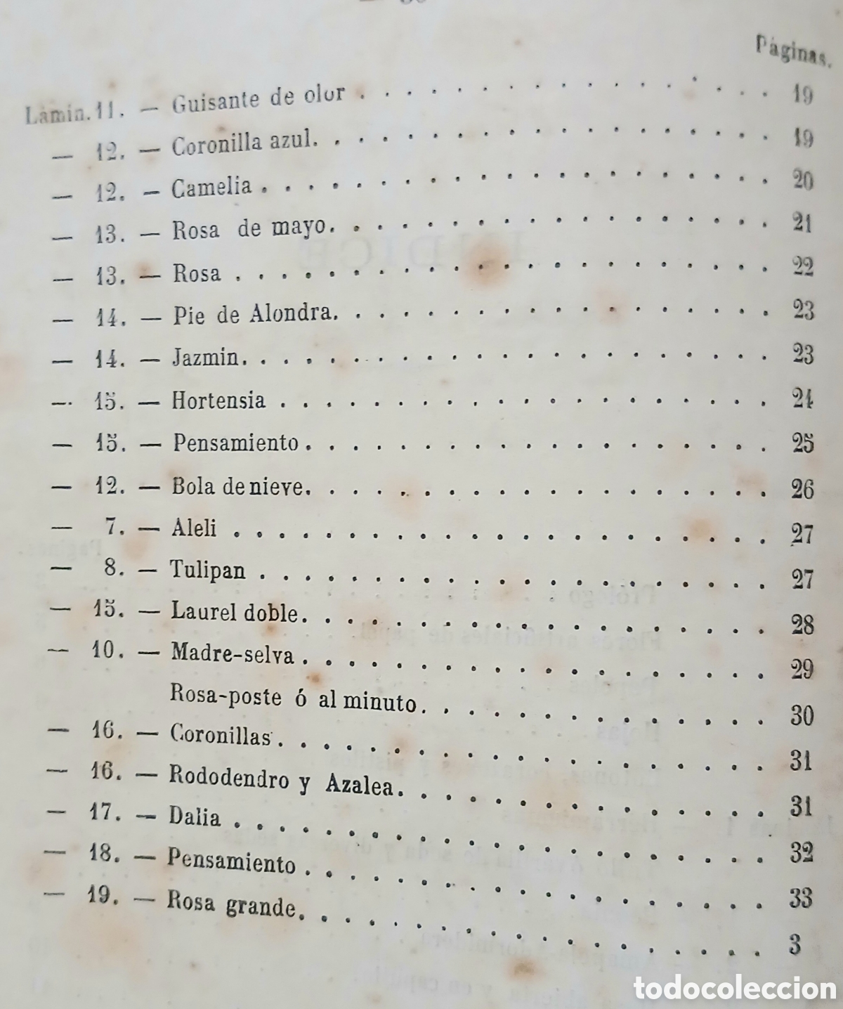Libros antiguos: La Florista de los salones - Foto 8