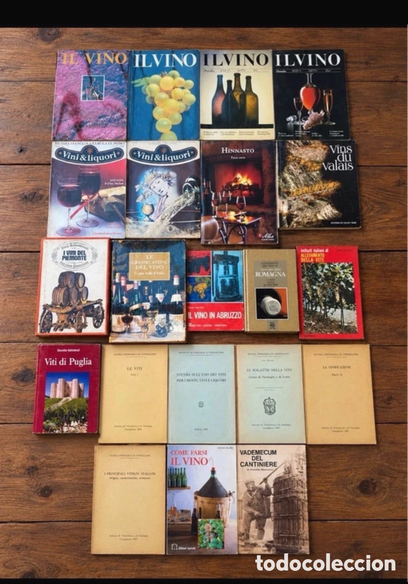 Libros antiguos: Lotto di libri, manuali e riviste d'epoca sul vino, enologia e viticoltura - 21 pezzi