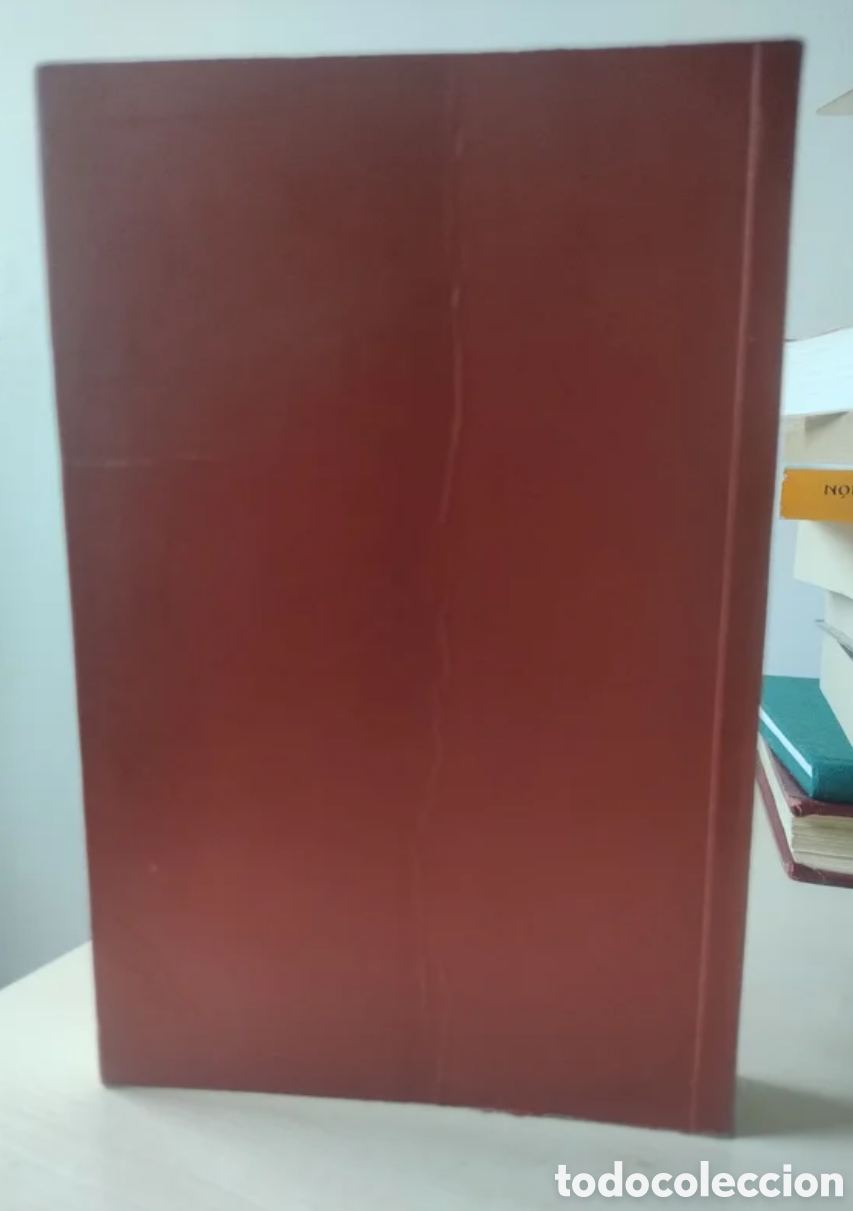 Libros antiguos: Las vestiduras recamadas. Facs&iacute;mil. - Foto 2