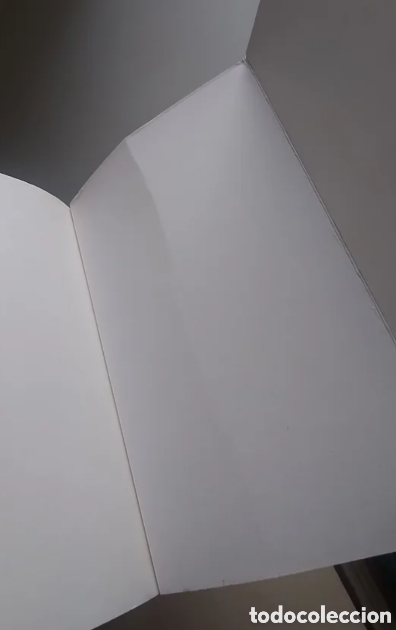 Libros antiguos: Las vestiduras recamadas. Facs&iacute;mil. - Foto 4
