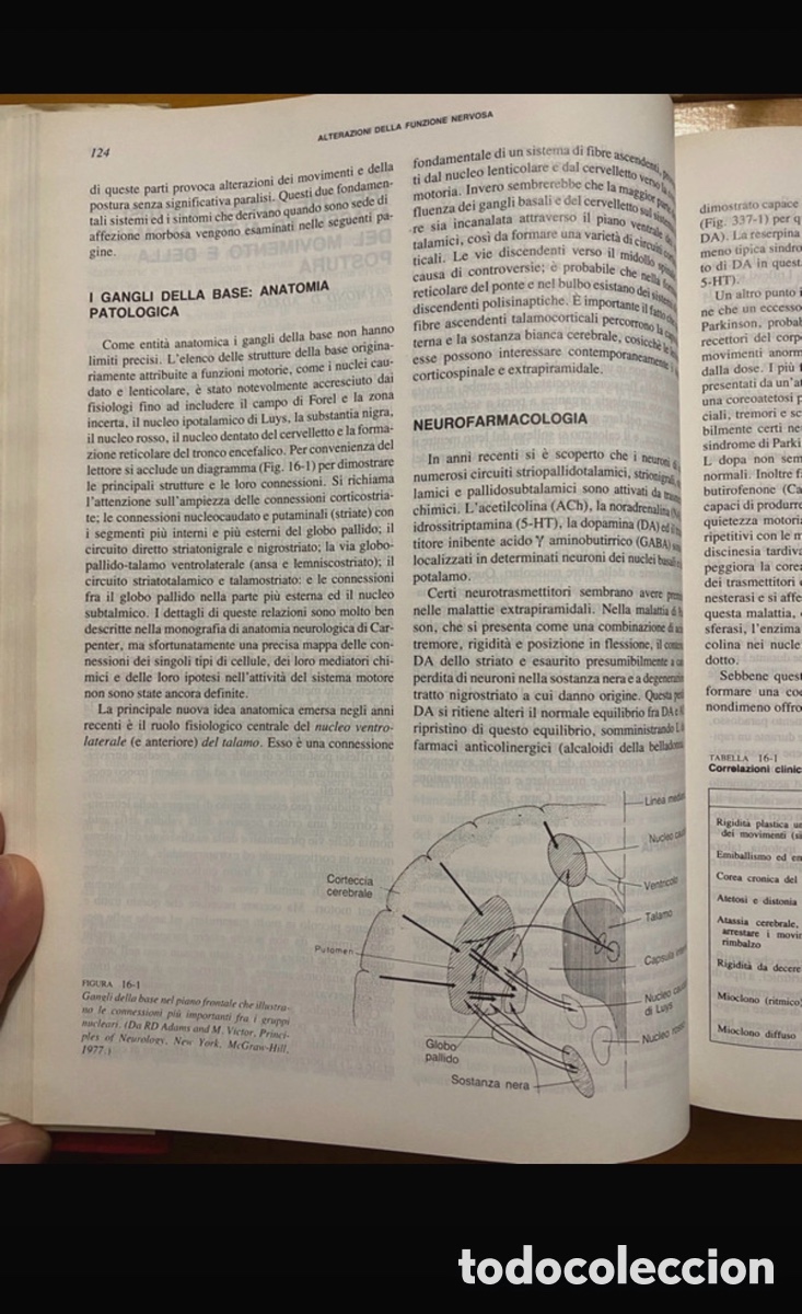 Libros antiguos: harrison principi di medicina interna - Foto 10