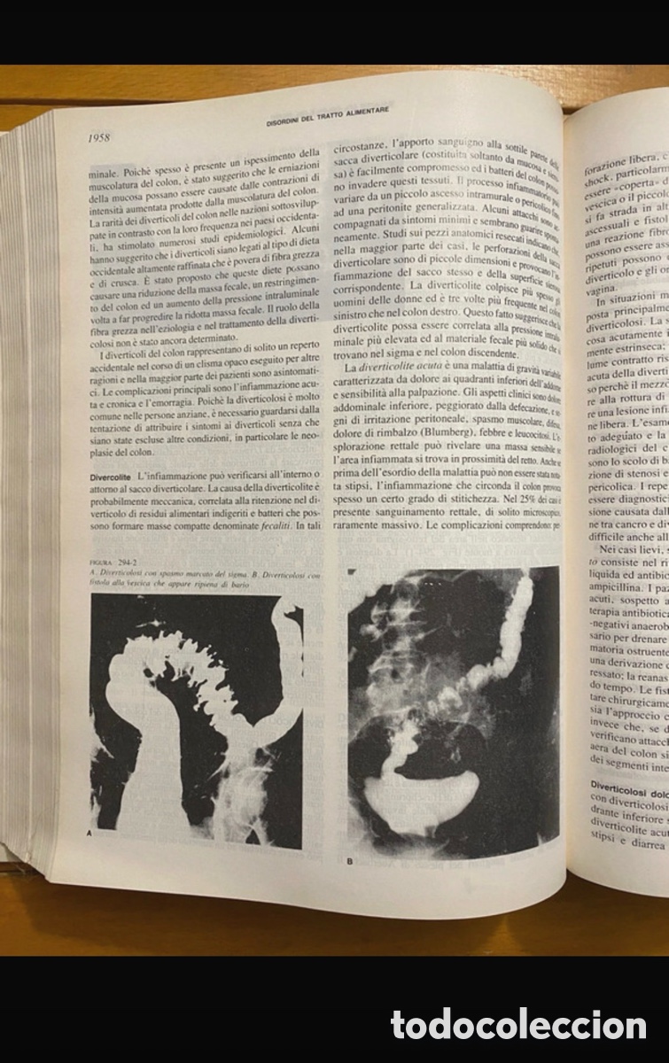 Libros antiguos: harrison principi di medicina interna - Foto 19