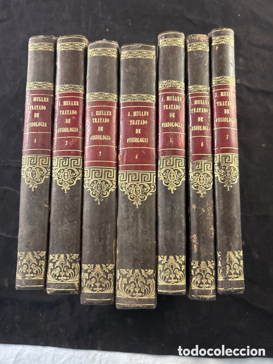 Libros antiguos: Tratado de Fisiolog&iacute;a de Johannes M&uuml;ller
