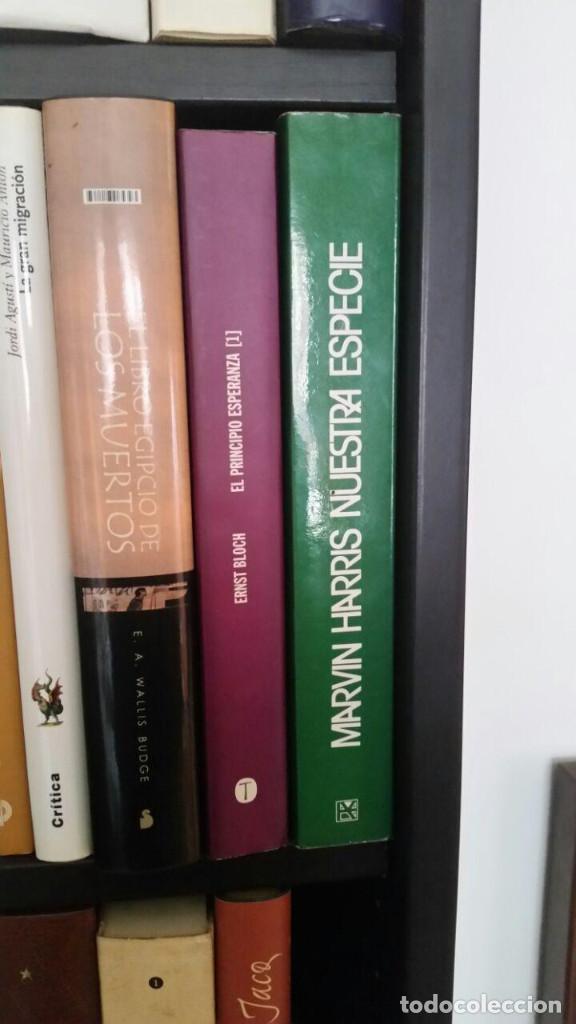 Libros: Marvin Harris Nuestra Especie - Foto 11