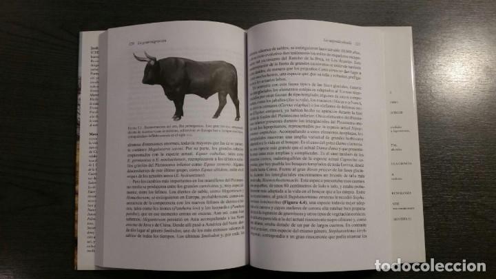 Libros: LA GRAN MIGRACION - Foto 6