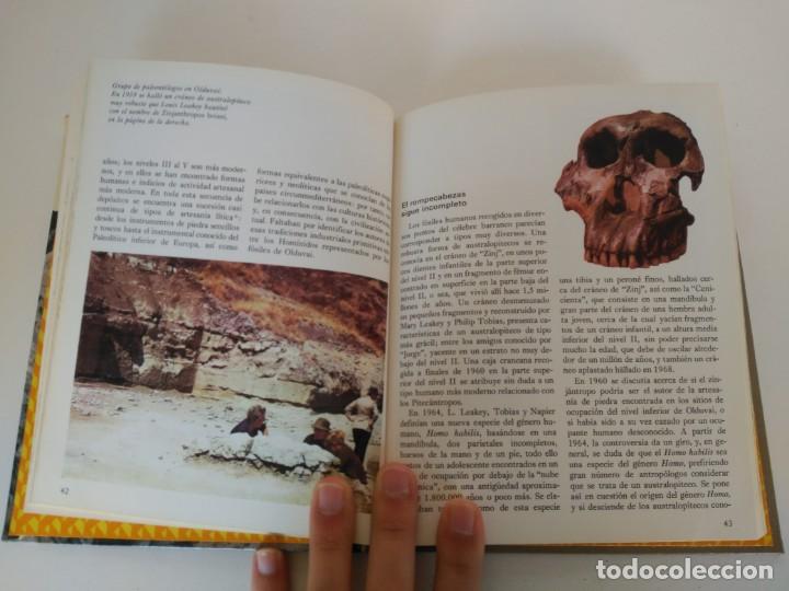 Libros: Libro el origen del hombre, salvat - Foto 2