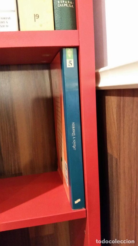 Libros: Ad&aacute;n y Darwin.  QUEROL . Sintesis - Foto 2