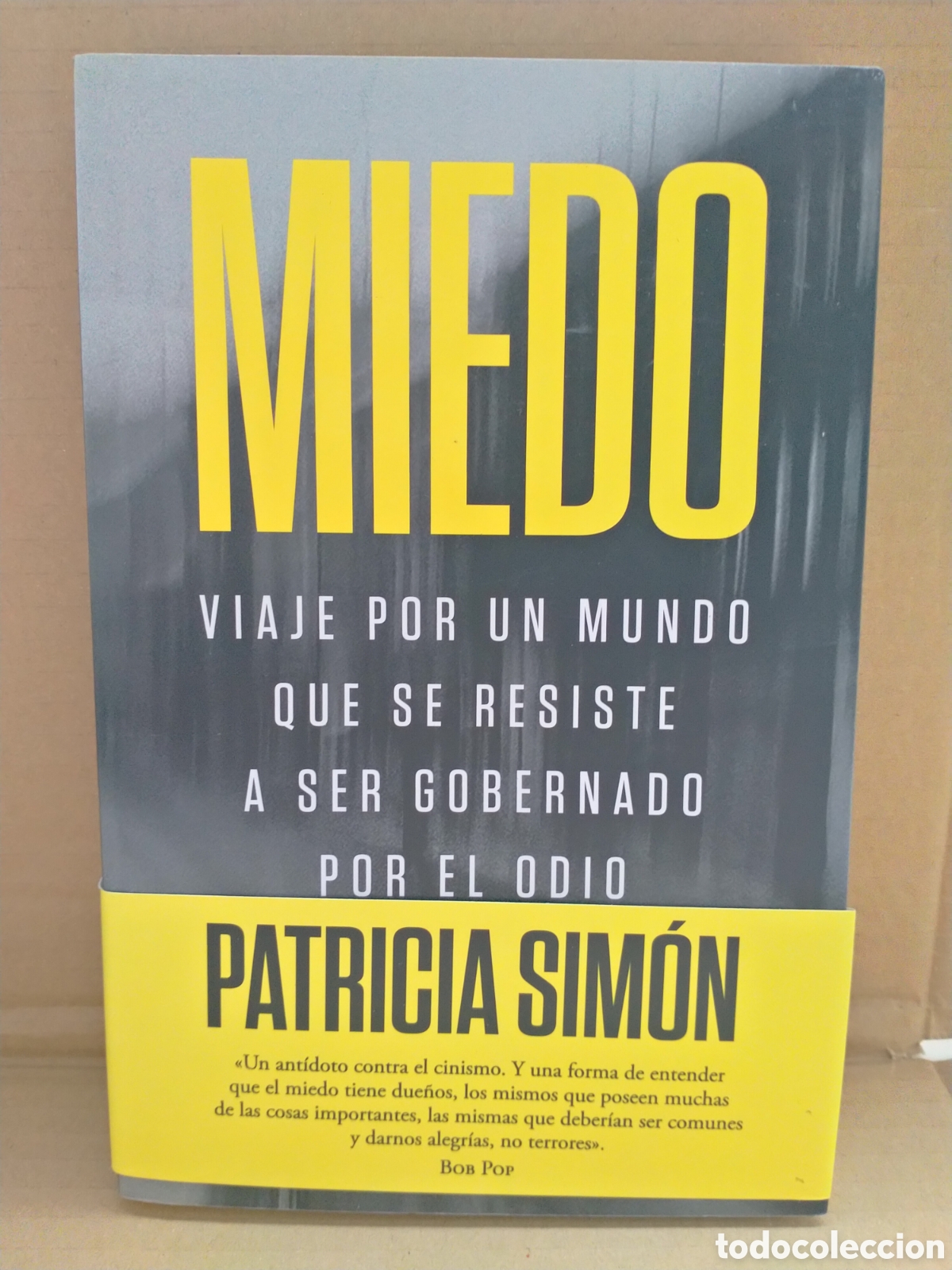 Libros: PATRICIA SIM&Oacute;N. MIEDO .DEBATE - Foto 1