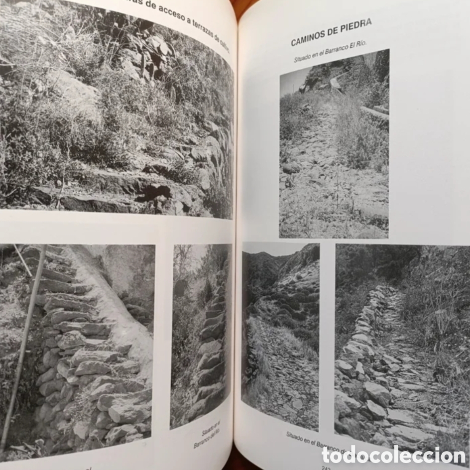 Libros: Cuna del heredamiento Valle de G&uuml;&iacute;mar - Foto 4