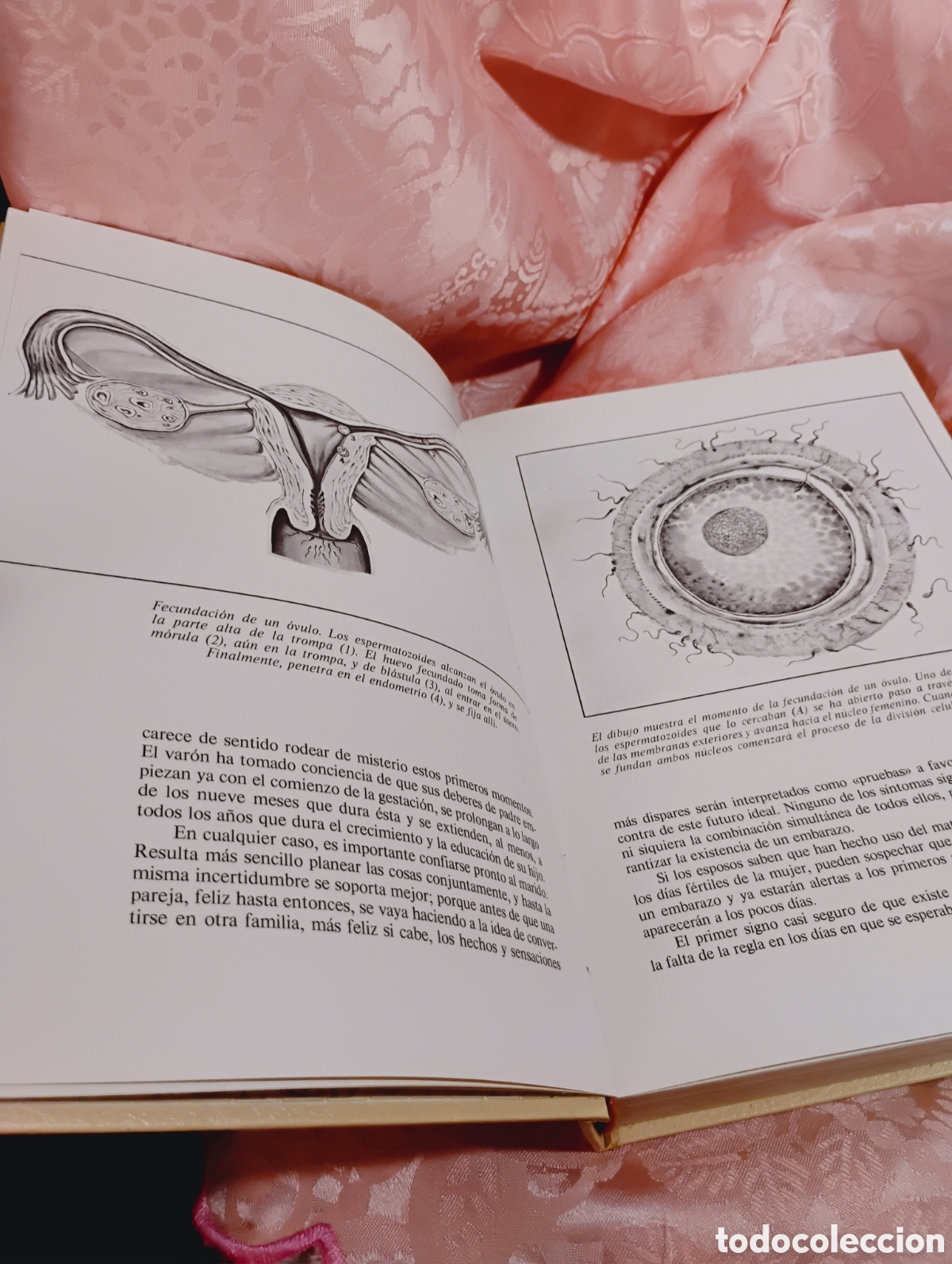 Libros: Libros superventas en la d&eacute;cada de los 60 tapa dura - Foto 20