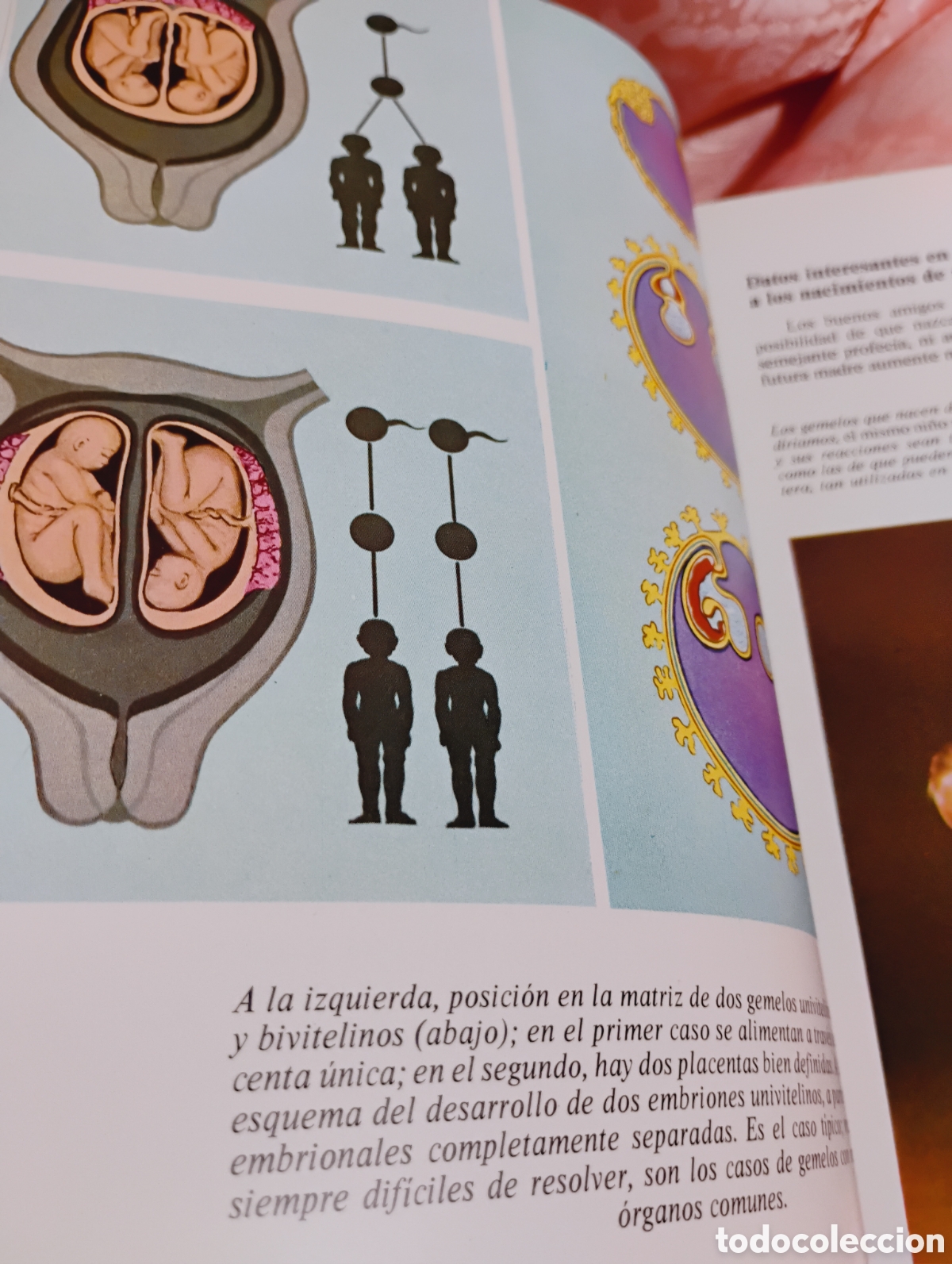 Libros: Libros superventas en la d&eacute;cada de los 60 tapa dura - Foto 21