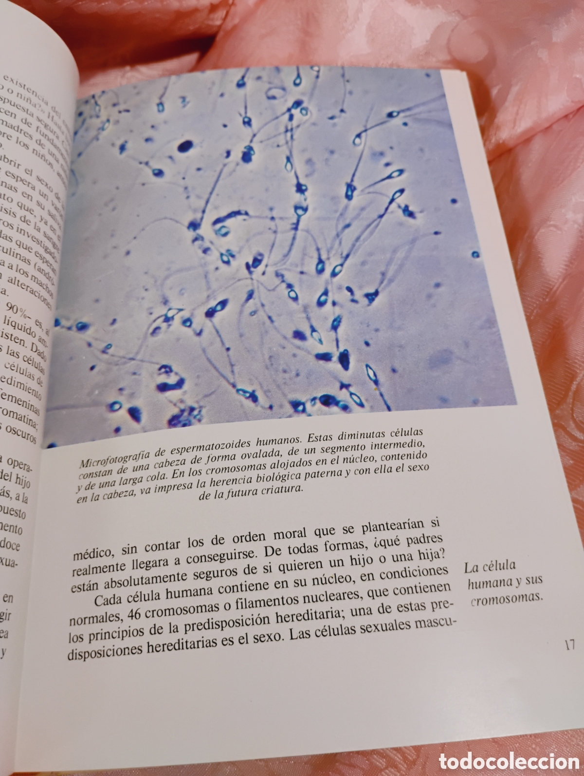 Libros: Libros superventas en la d&eacute;cada de los 60 tapa dura - Foto 22