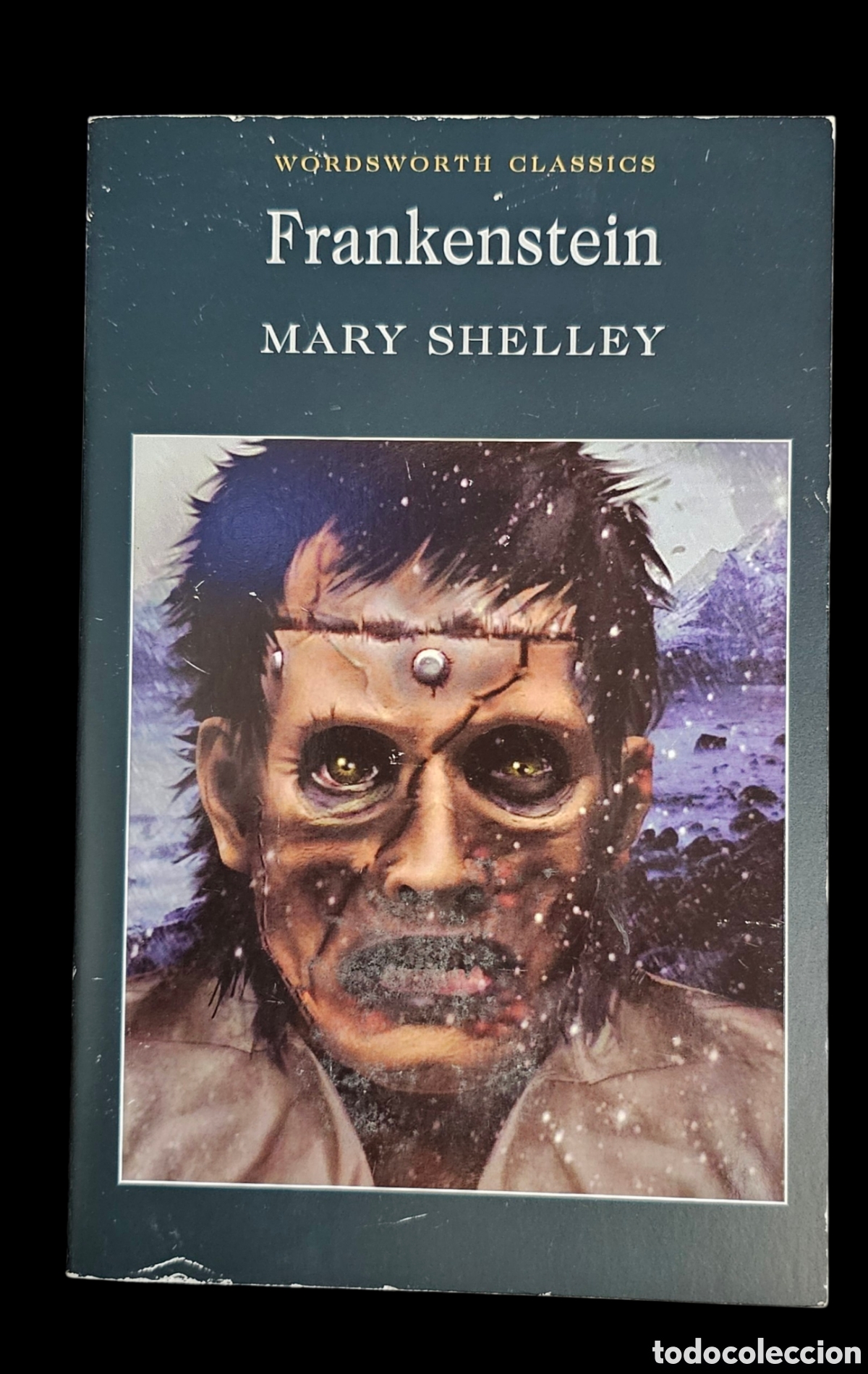 Libros: Libro&nbsp;Frankenstein&nbsp;de Mary Shelley. - Foto 1