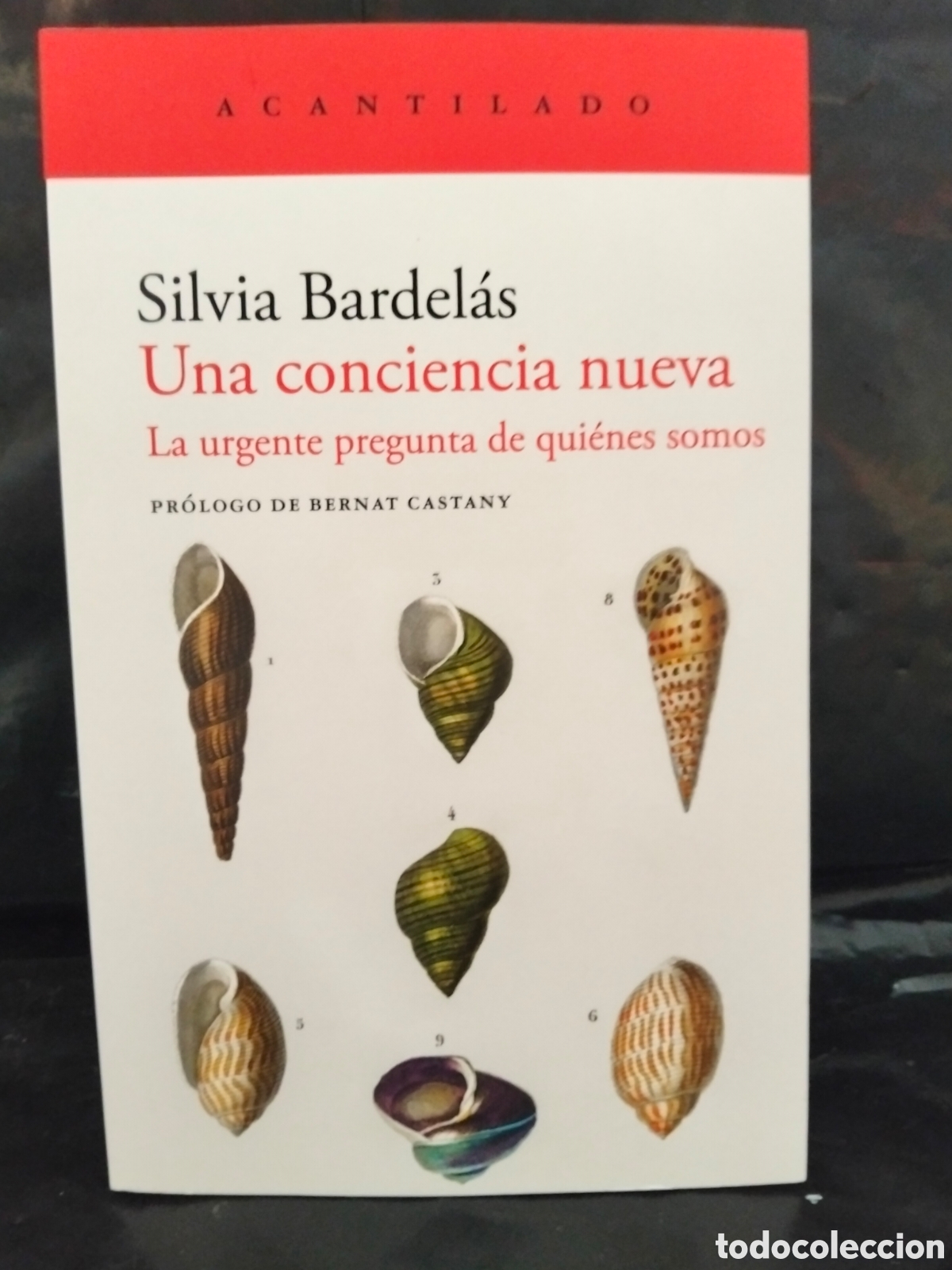Libros: SILVIA BARDEL&Aacute;S. UNA CONCIENCIA NUEVA .ACANTILADO