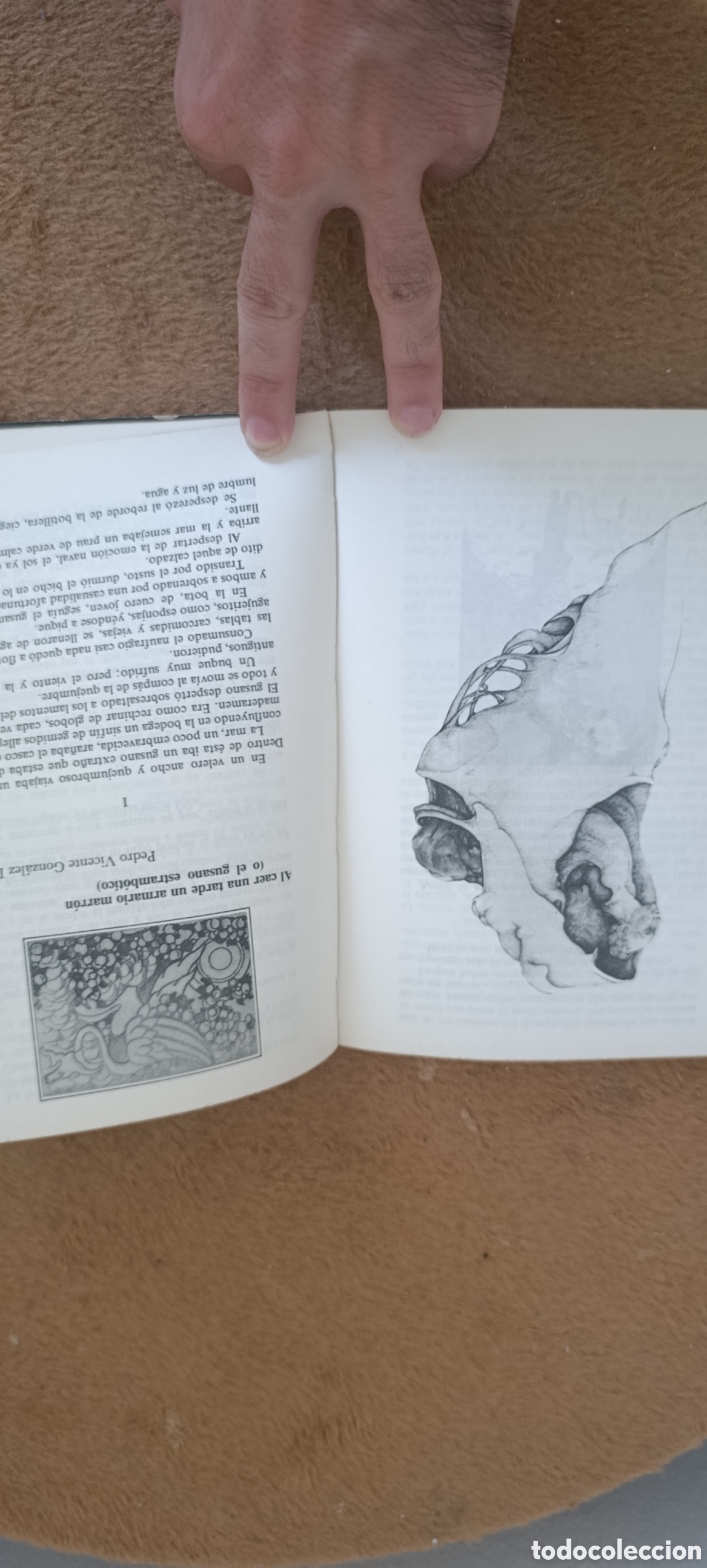 Libros: Sue&ntilde;os de la raz&oacute;n. Cuentos y dibujos. (Raro) - Foto 3