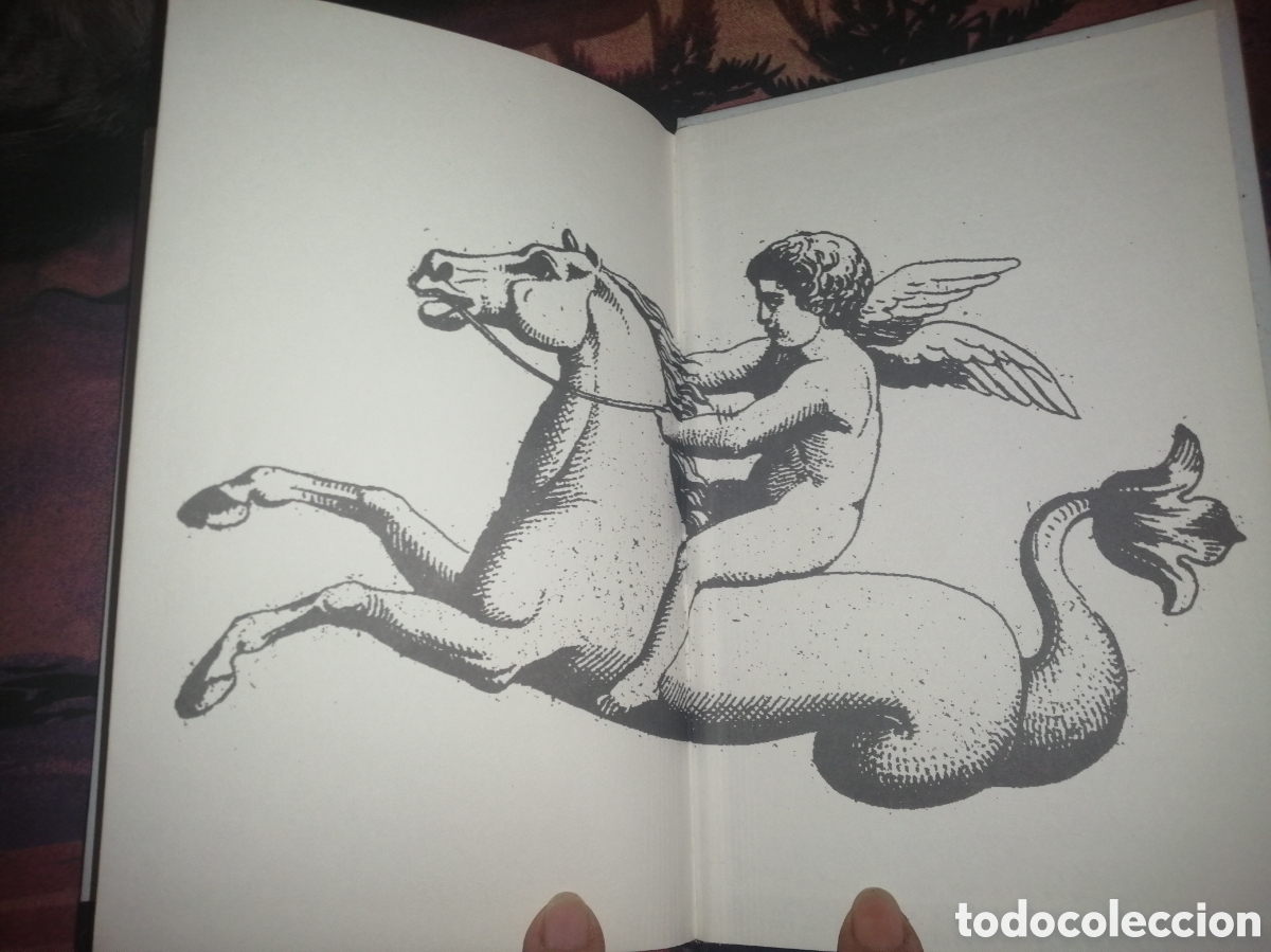 Libros: Libro &rdquo;Tems duna espera&rdquo; - Foto 4