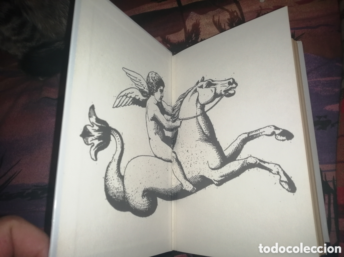 Libros: Libro &rdquo;Tems duna espera&rdquo; - Foto 5