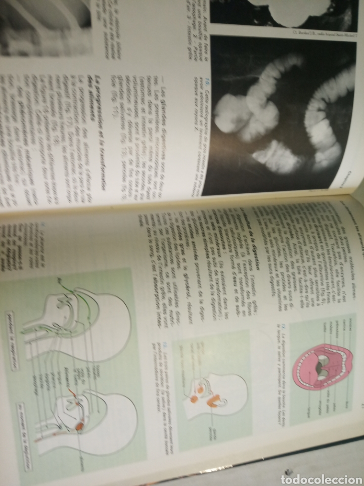 Libros: Biologie Geologie - Foto 6