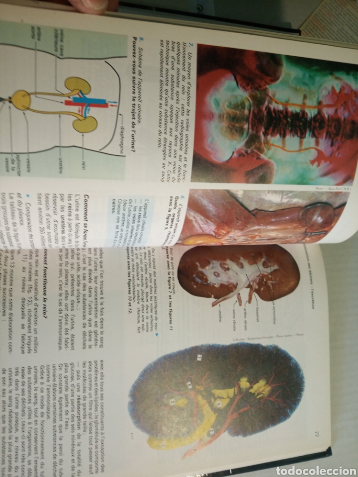 Libros: Biologie Geologie - Foto 8