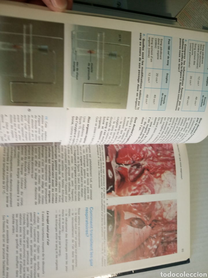 Libros: Biologie Geologie - Foto 9