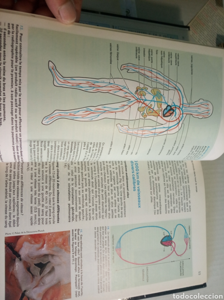Libros: Biologie Geologie - Foto 10