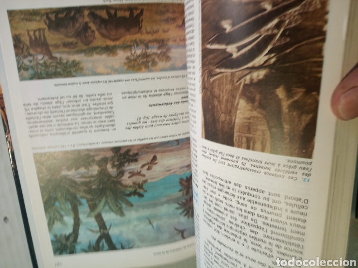 Libros: Biologie Geologie - Foto 12