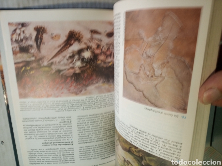 Libros: Biologie Geologie - Foto 13