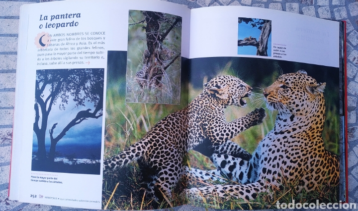 Libros: Libro, 250 curiosidades sobre los animales - Foto 2
