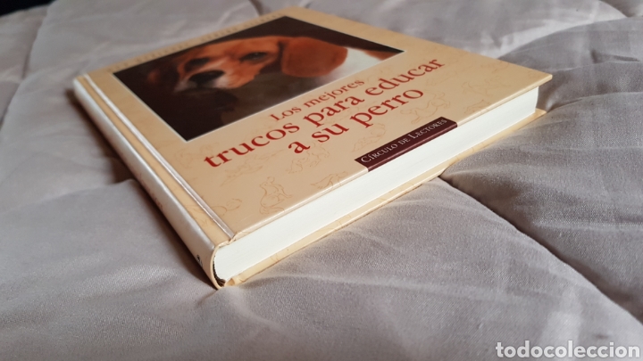 Libros: Trucos para educar a su perro - Foto 2
