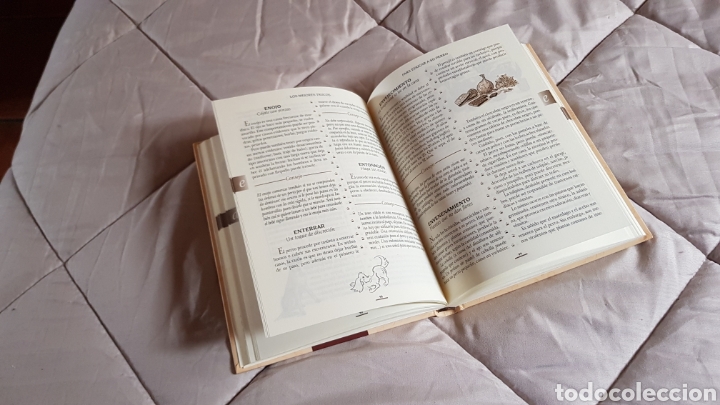 Libros: Trucos para educar a su perro - Foto 3