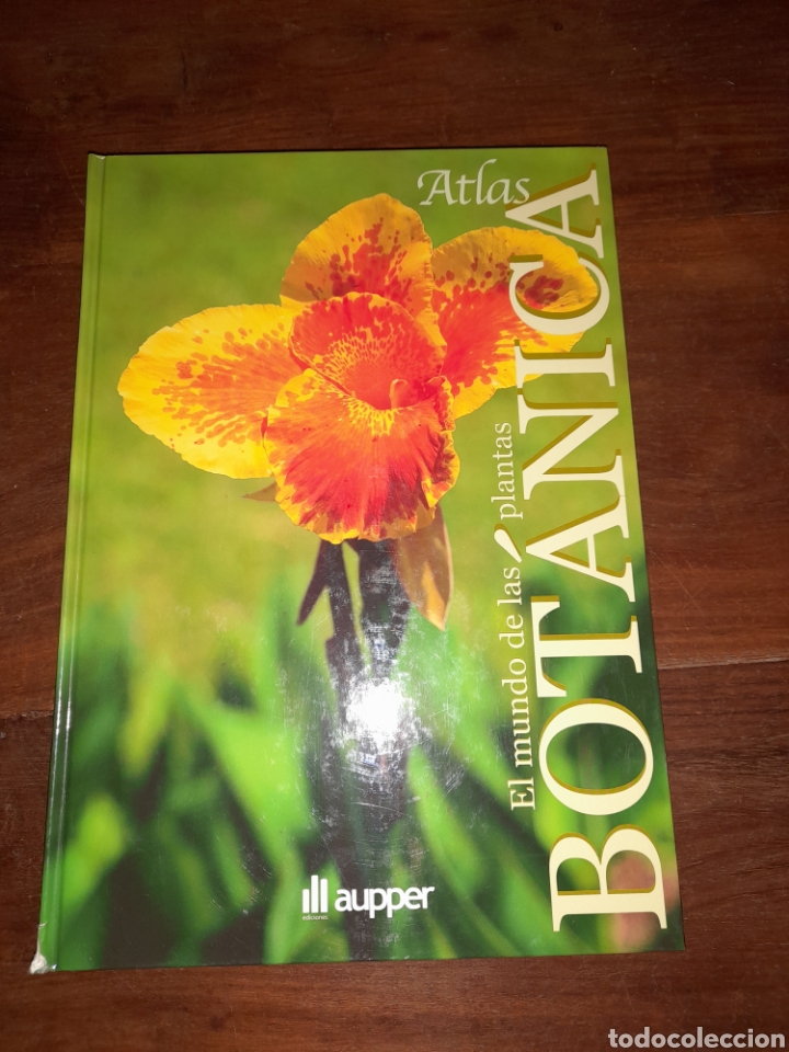 ATLAS DE BOTÁNICA, ECOLOGÍA Y MEDIO AMBIENTE (Libros Nuevos - Educación - Aprendizaje)