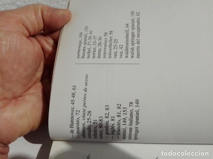 Libros: EL ADIESTRAMIENTO DE LOS PERROS DE CAZA (CLAUDIO DE GIULIANI) - Foto 5