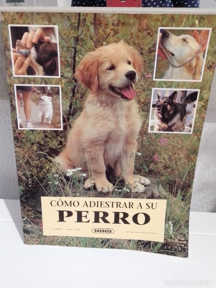 Libros: COMO ADIESTRAR A SU PERRO (SUSAETA) - Foto 1