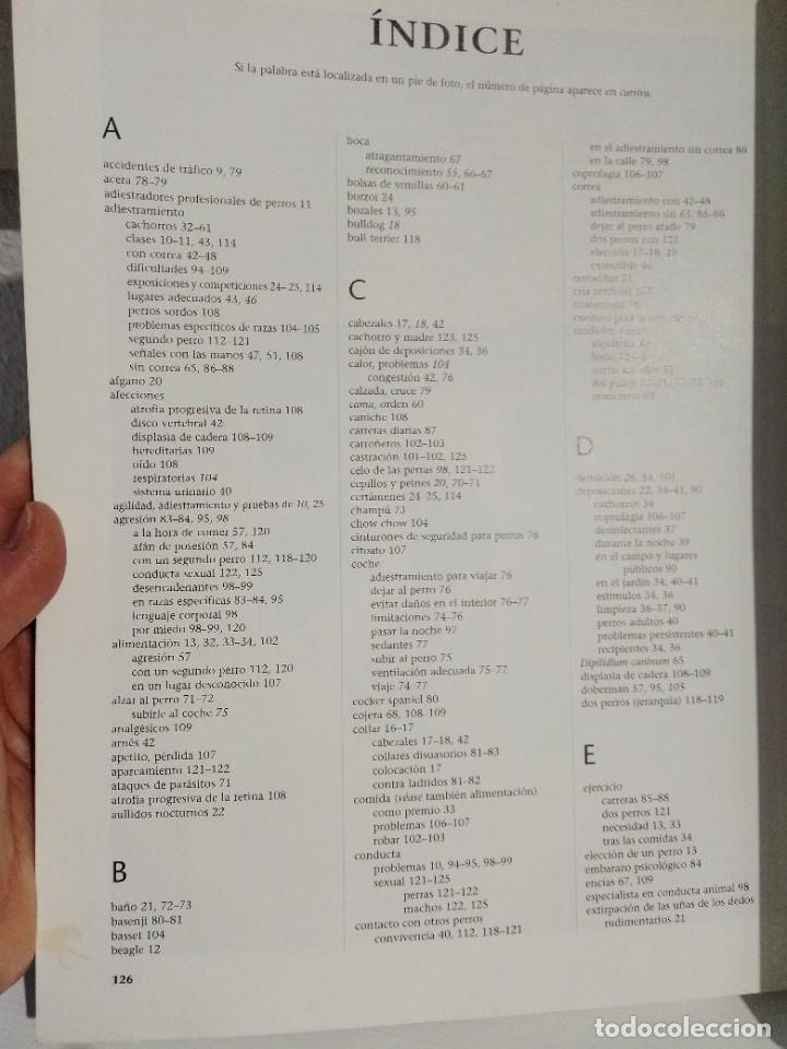 Libros: COMO ADIESTRAR A SU PERRO (SUSAETA) - Foto 3