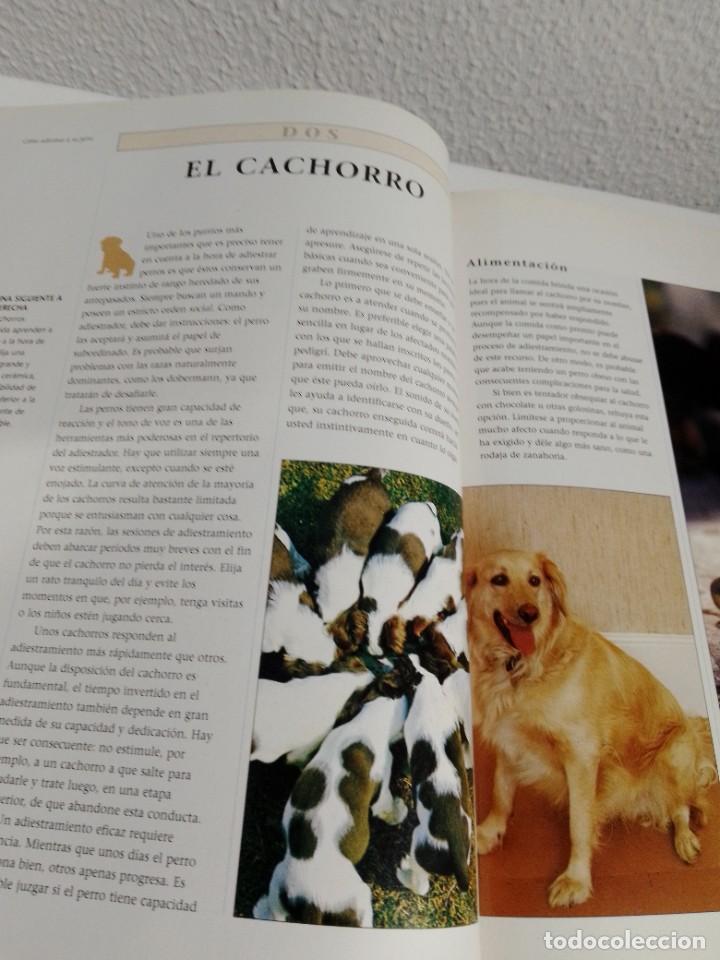 Libros: COMO ADIESTRAR A SU PERRO (SUSAETA) - Foto 6