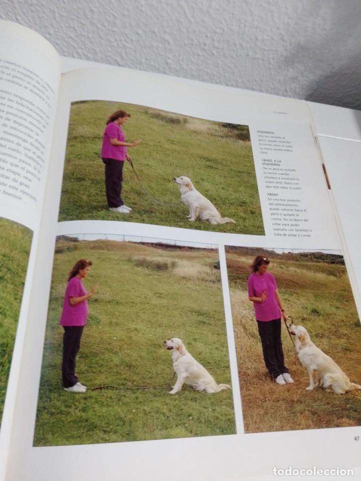 Libros: COMO ADIESTRAR A SU PERRO (SUSAETA) - Foto 7