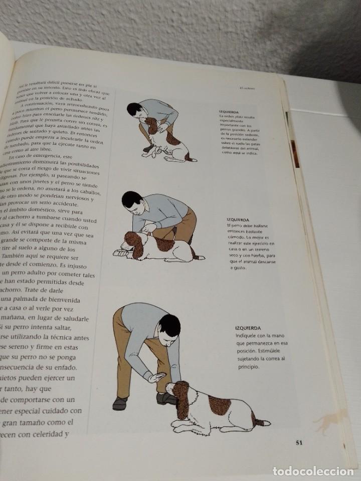 Libros: COMO ADIESTRAR A SU PERRO (SUSAETA) - Foto 8