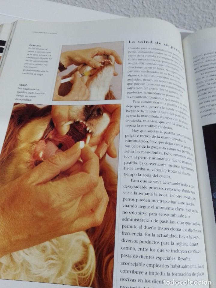 Libros: COMO ADIESTRAR A SU PERRO (SUSAETA) - Foto 9