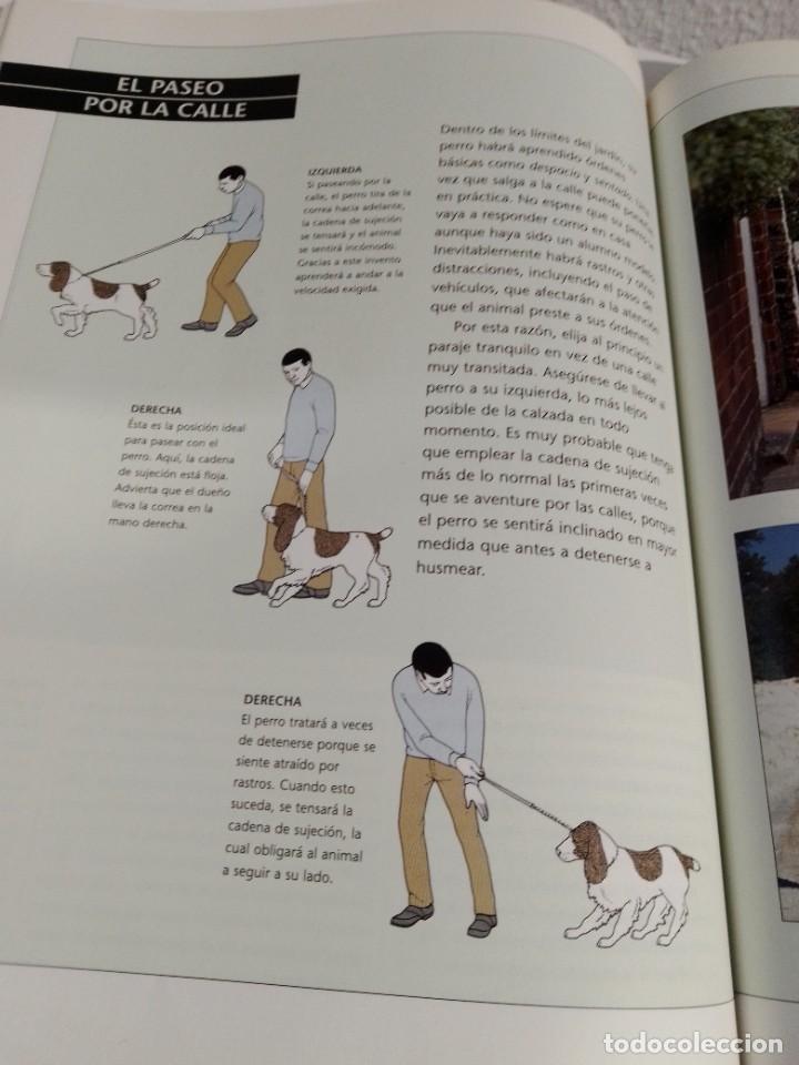 Libros: COMO ADIESTRAR A SU PERRO (SUSAETA) - Foto 10