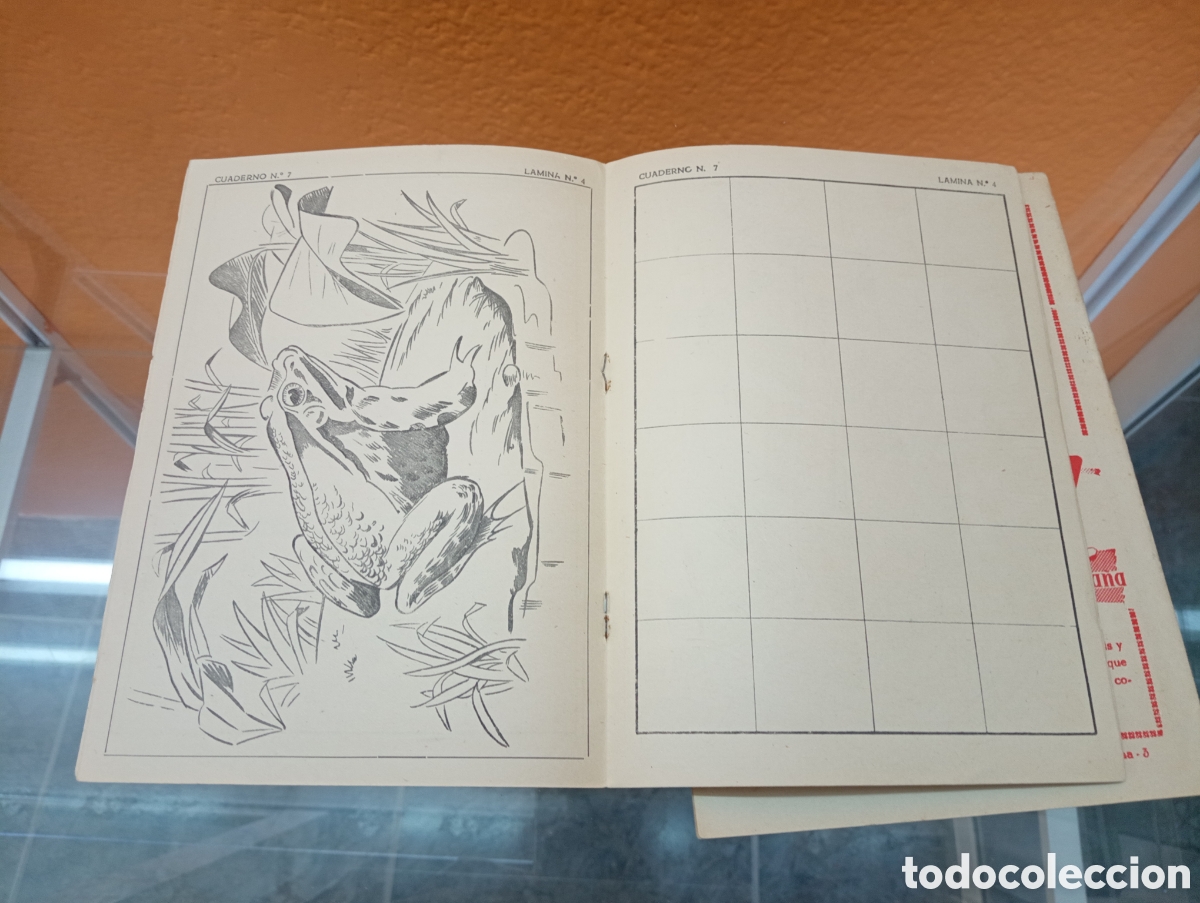Libros: Dos Cuaderno Escolar - Foto 3