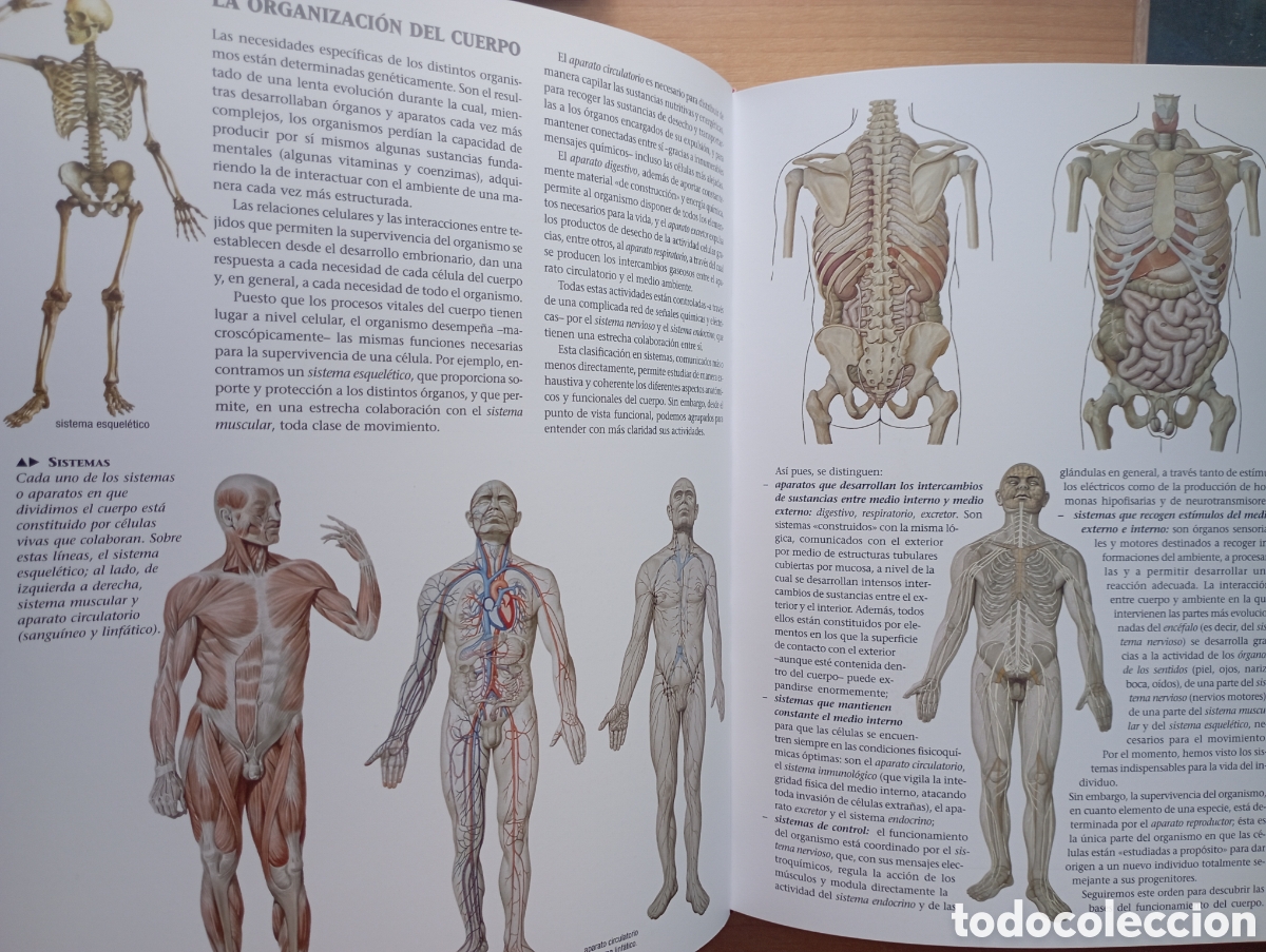 Libros: Fisiolog&iacute;a Humana - Foto 3