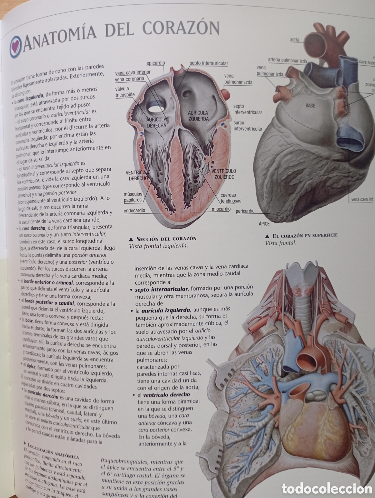 Libros: Fisiolog&iacute;a Humana - Foto 6