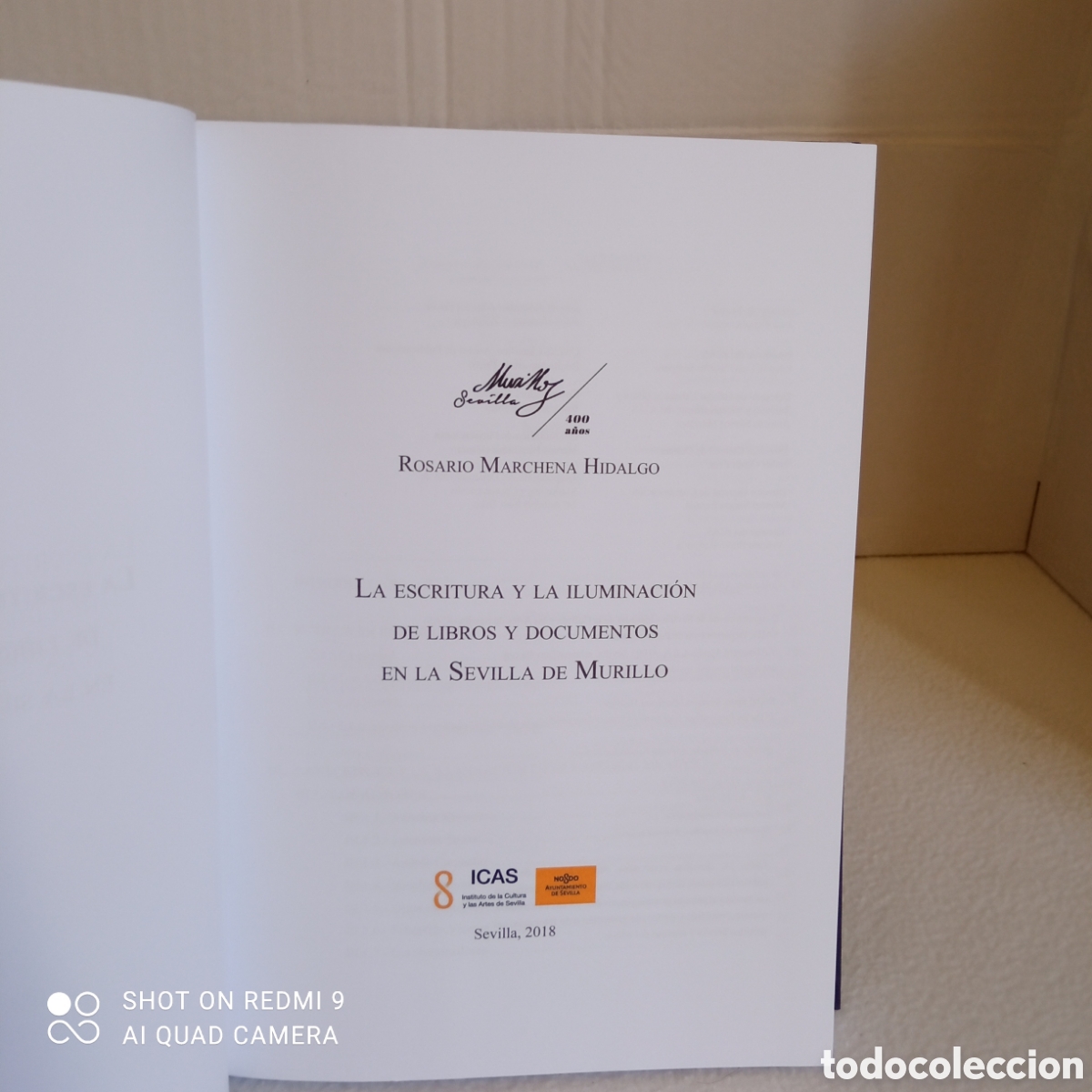 Libros: La escritura y la iluminaci&oacute;n de libros y documentos en la ciudad de Sevilla. - Foto 2