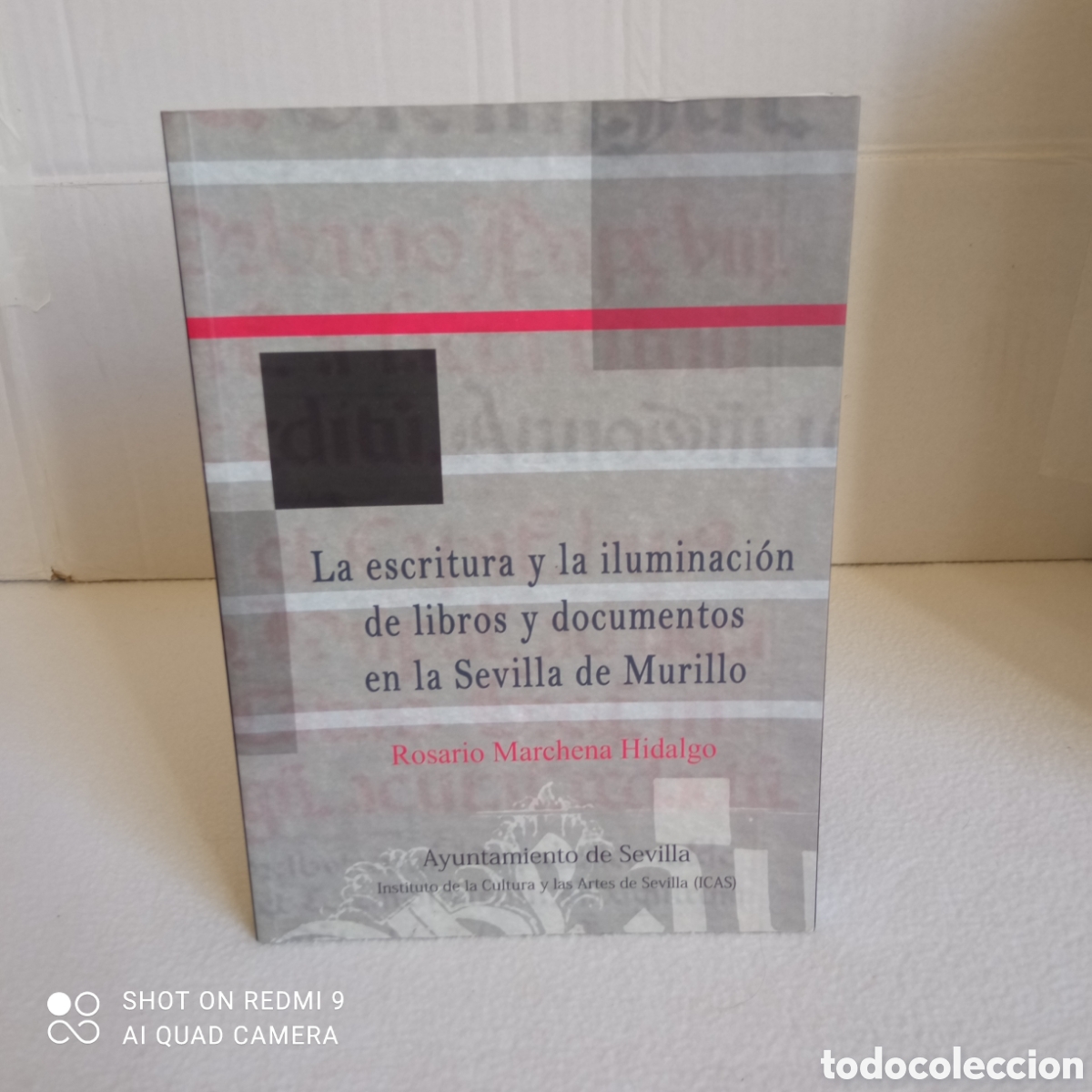 Libros: La escritura y la iluminaci&oacute;n de libros y documentos en la ciudad de Sevilla. - Foto 1