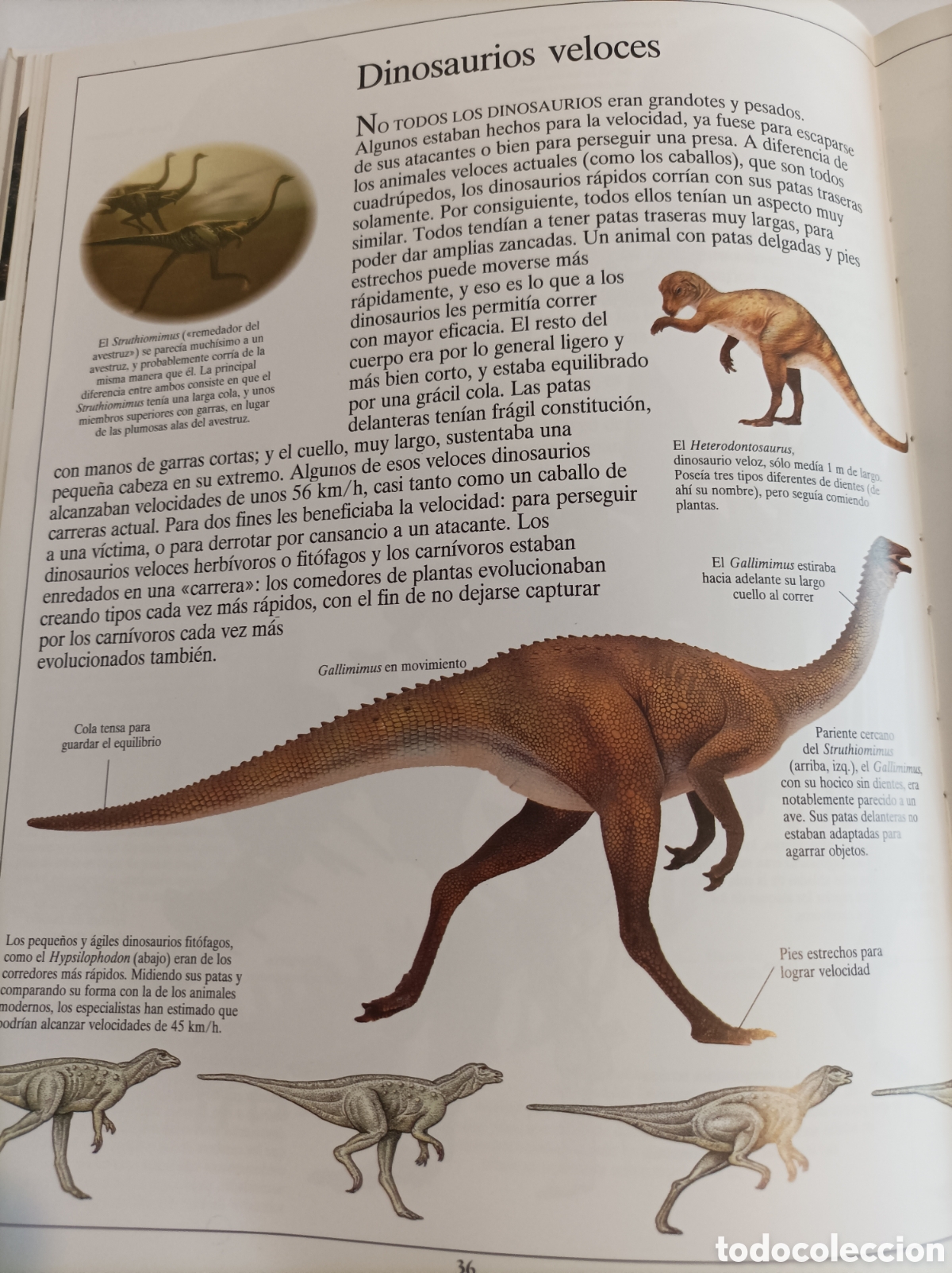 Libros: los dinosaurios - Foto 3