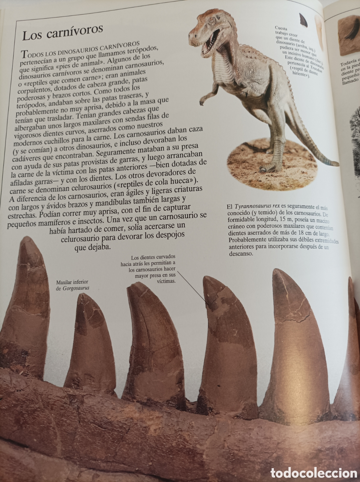 Libros: los dinosaurios - Foto 4