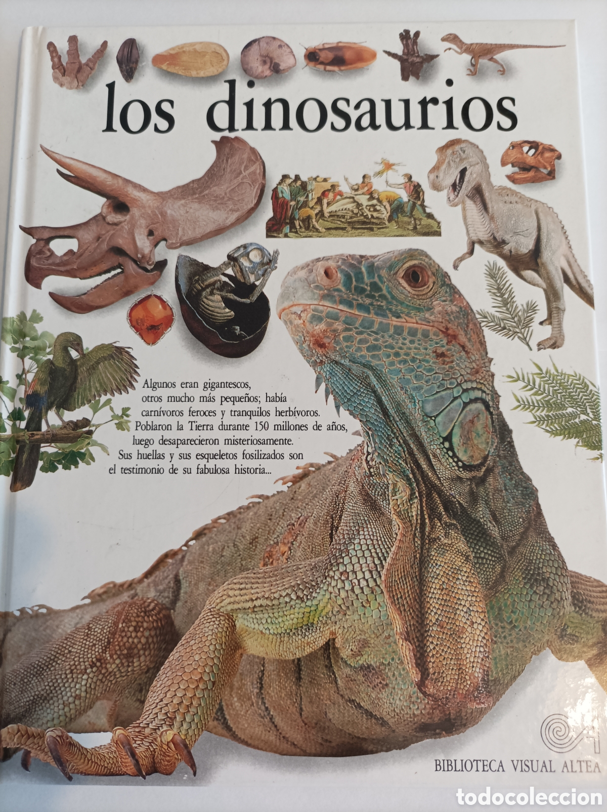 Libros: los dinosaurios - Foto 1