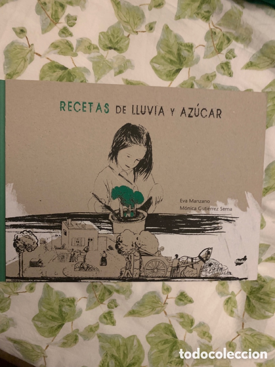 Libros: Recetas de lluvia y az&uacute;car eva manzano - Foto 1