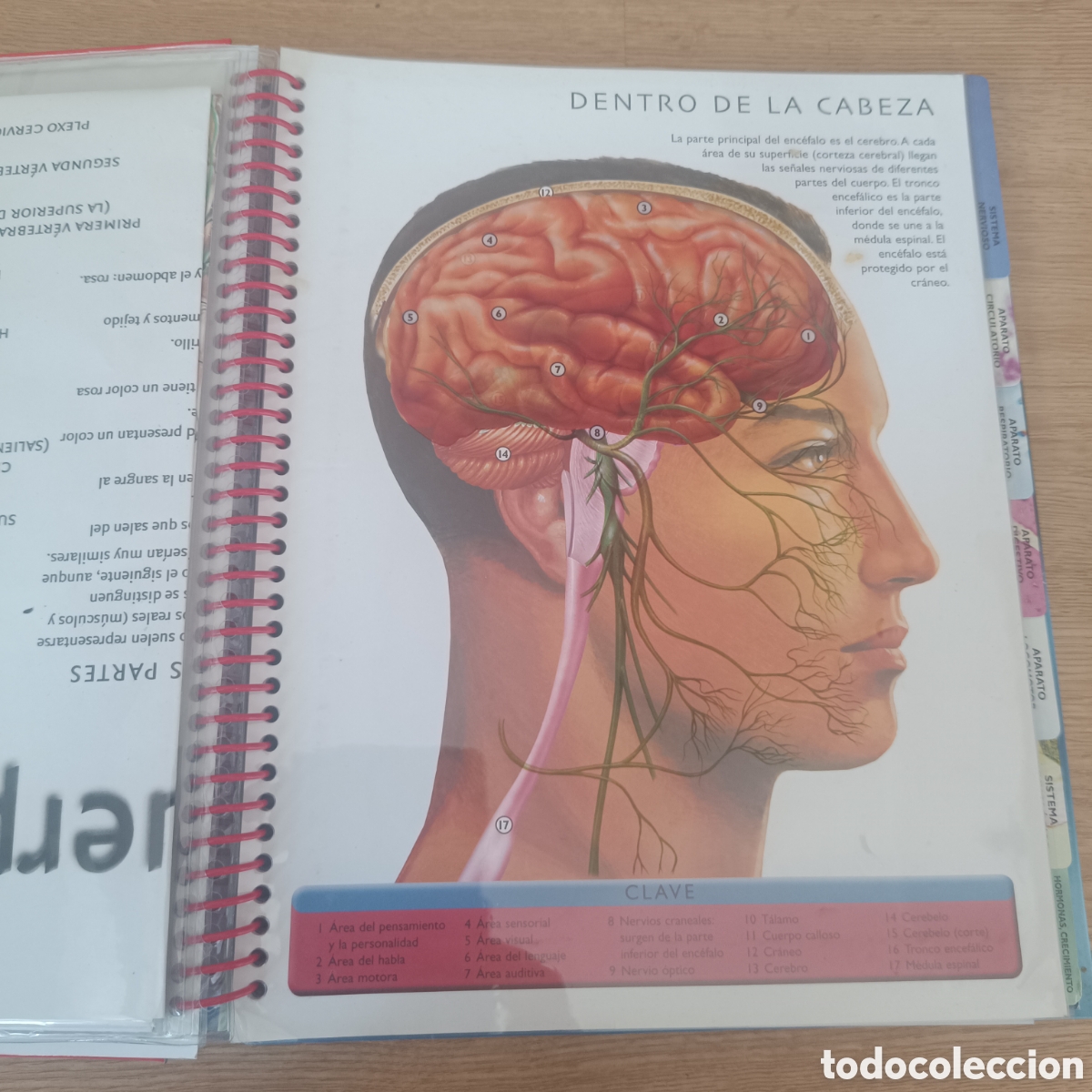 Libros: El Cuerpo Humano Libro de Fichas - Foto 3
