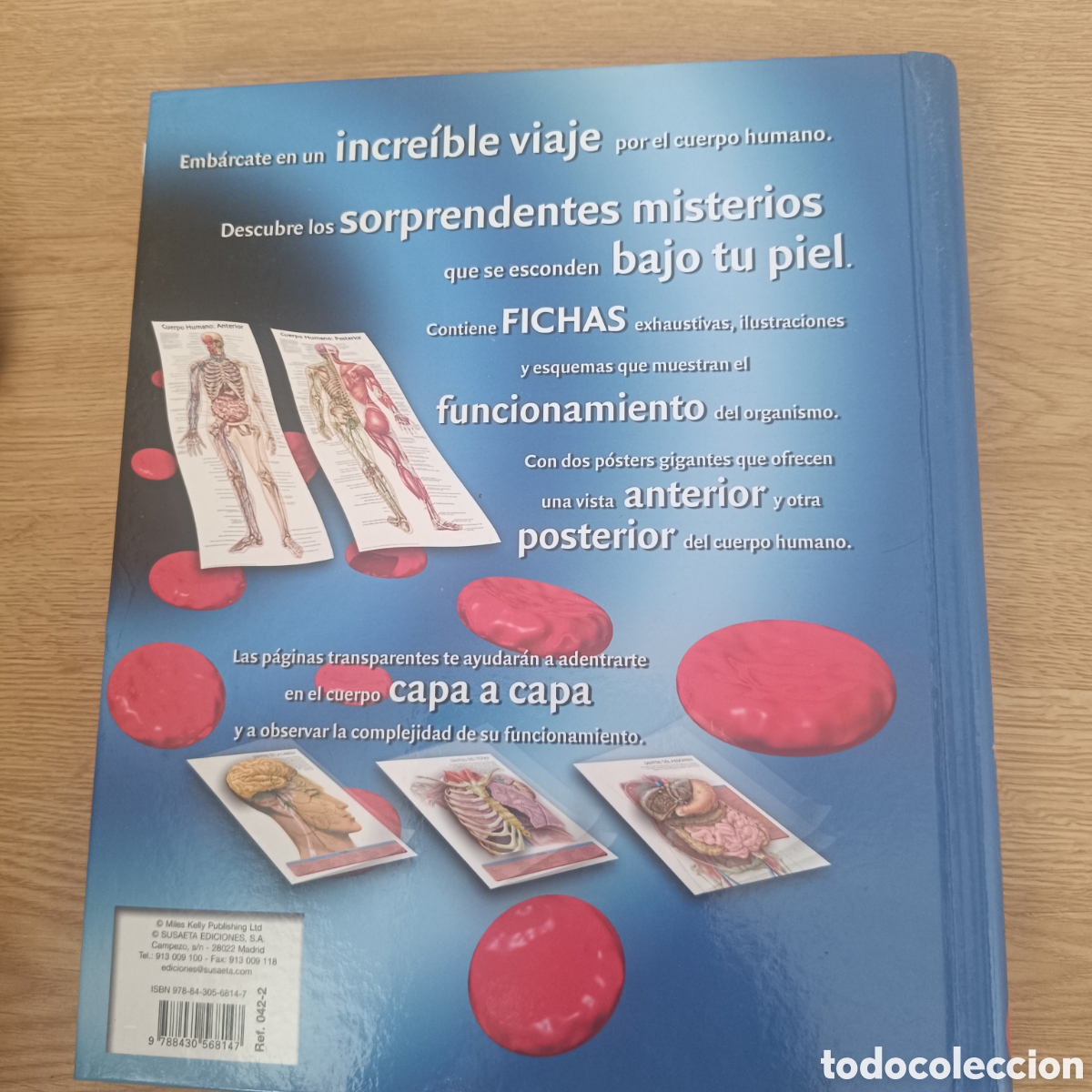 Libros: El Cuerpo Humano Libro de Fichas - Foto 6